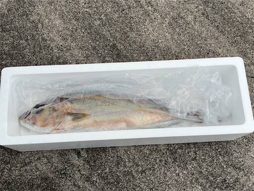 f:id:turiheta:20241029125544j:image f:id:turiheta:20241029125544j:image