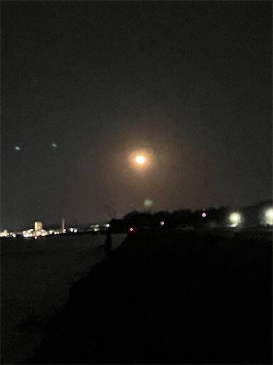 f:id:turiheta:20250121090655j:image f:id:turiheta:20250121090655j:image