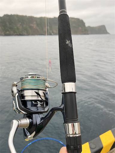 f:id:turiheta:20250331213559j:image f:id:turiheta:20250331213559j:image