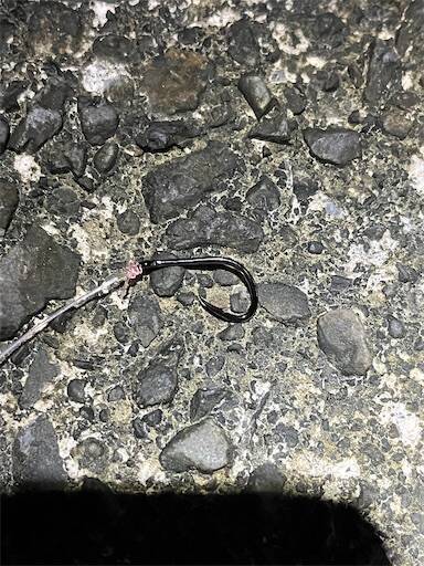 f:id:turiheta:20250630024328j:image f:id:turiheta:20250630024328j:image