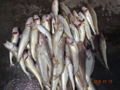 20160713142422