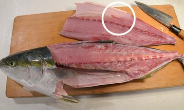 ブリ寄生虫 糸状虫 について 今日の紋別港偵察 釣塾 Tsurijuku ブリ寄生虫 糸状虫 について 今日の紋別港偵察 釣塾 Tsurijuku