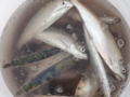 20180617062110