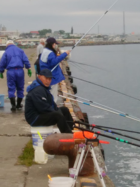 ランクａ カラフトマスと鮭のウキフカセ釣りでの合わせのタイミング 今日の紋別港釣り情報 釣塾 Tsurijuku
