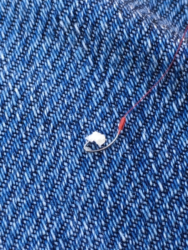 f:id:turimemo:20190324225024j:plain