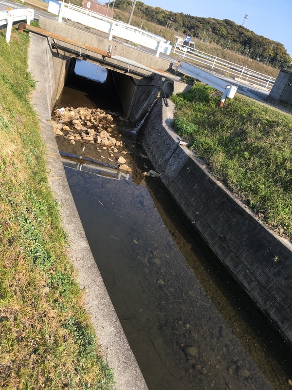 f:id:turimemo:20190324225028j:plain