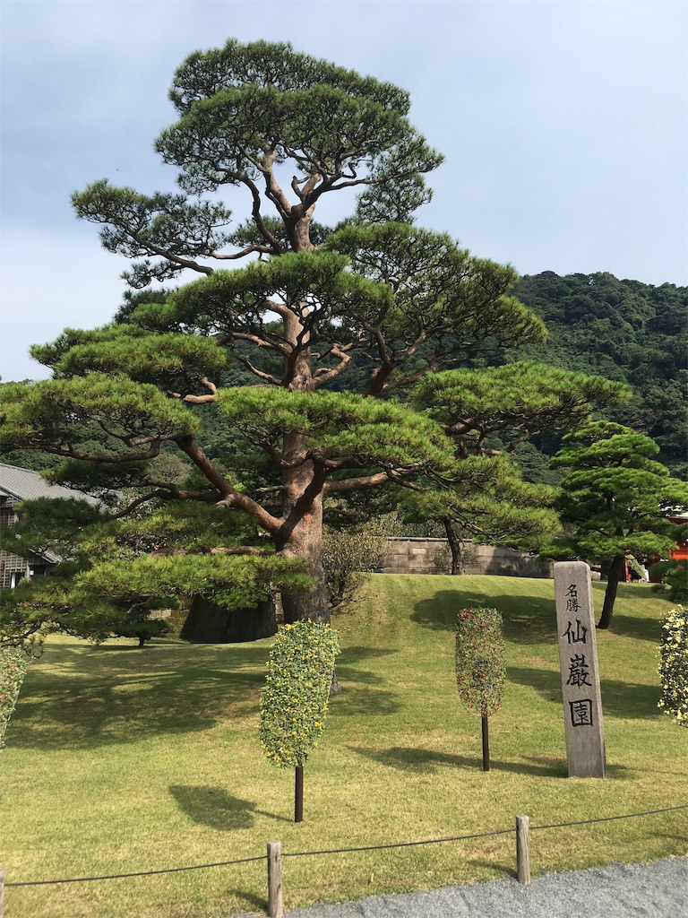 f:id:turimemo:20191104212936j:image f:id:turimemo:20191104212936j:image