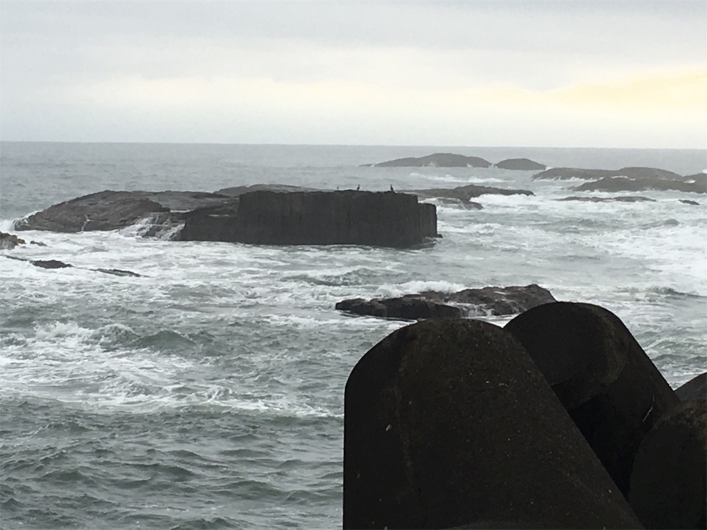 f:id:turimemo:20191123095205j:image