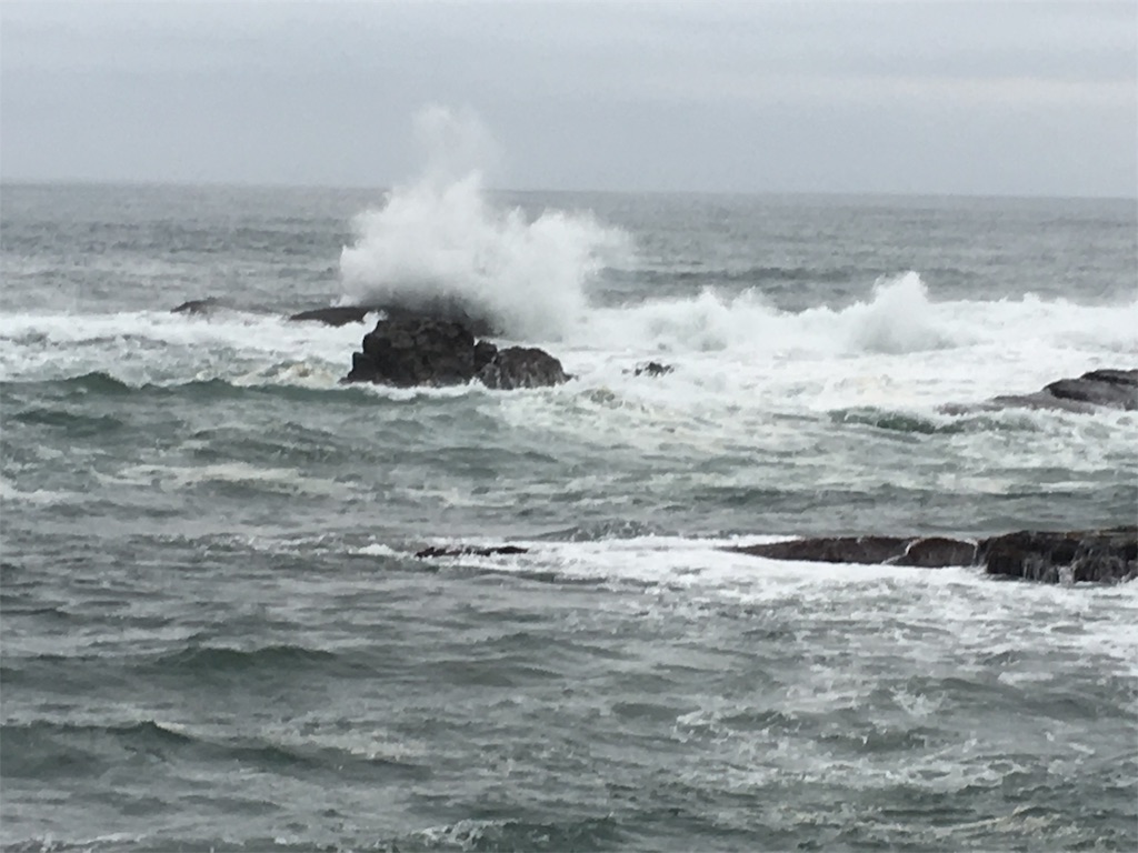 f:id:turimemo:20191123095211j:image
