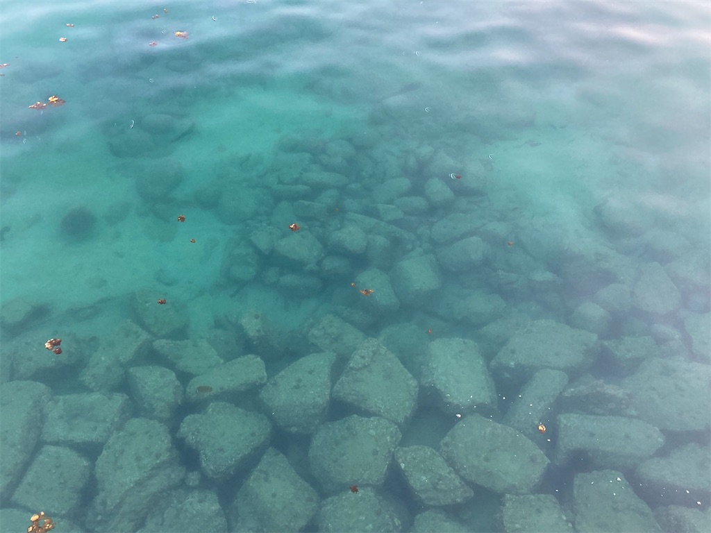 f:id:turimemo:20210219210406j:image f:id:turimemo:20210219210406j:image