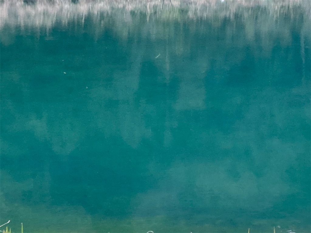 f:id:turimemo:20210311203138j:image f:id:turimemo:20210311203138j:image