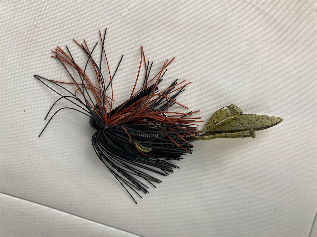 f:id:turimemo:20210311203142j:image f:id:turimemo:20210311203142j:image