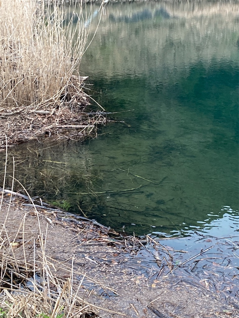 f:id:turimemo:20210311203145j:image f:id:turimemo:20210311203145j:image