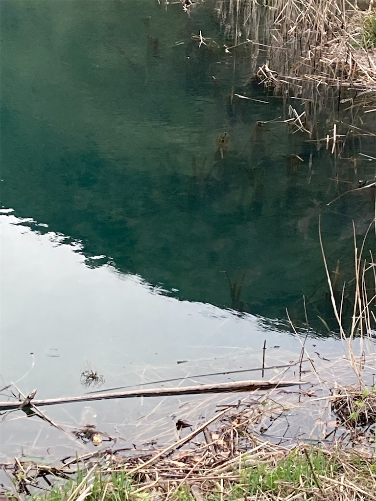 f:id:turimemo:20210311203148j:image f:id:turimemo:20210311203148j:image