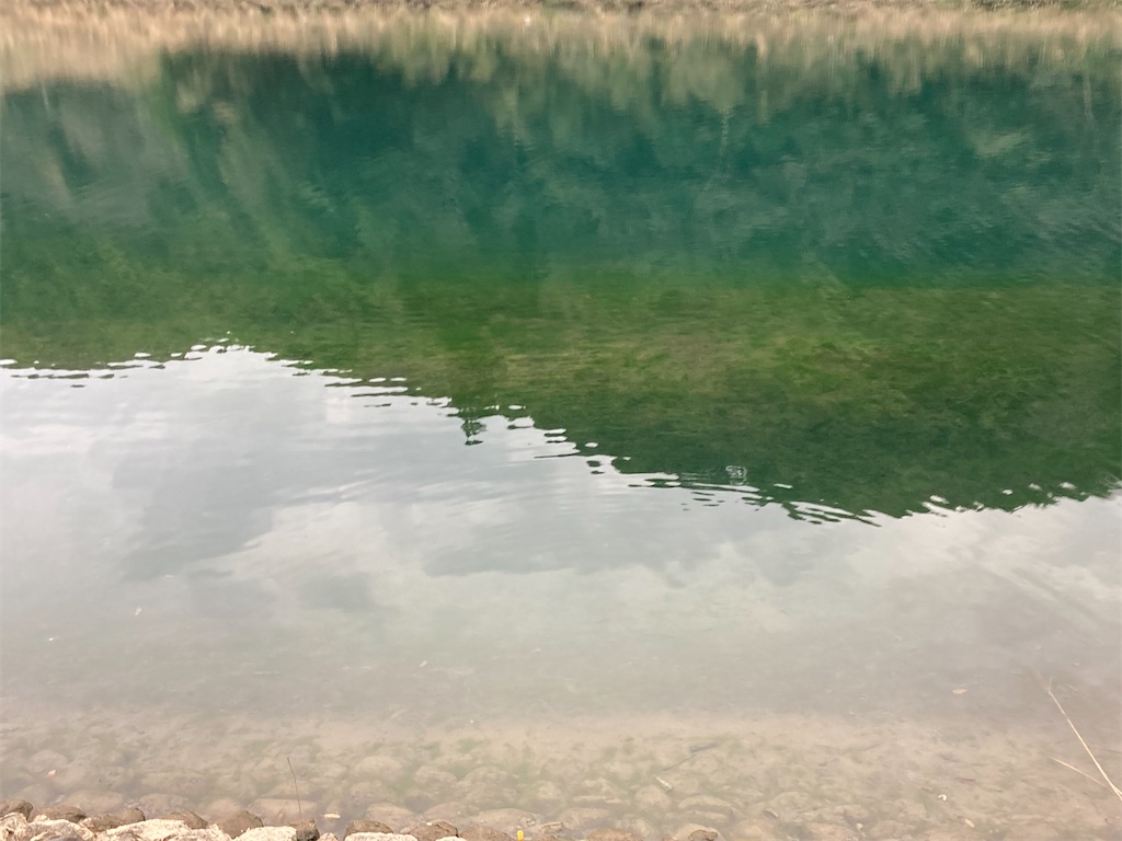 f:id:turimemo:20210311203152j:image f:id:turimemo:20210311203152j:image