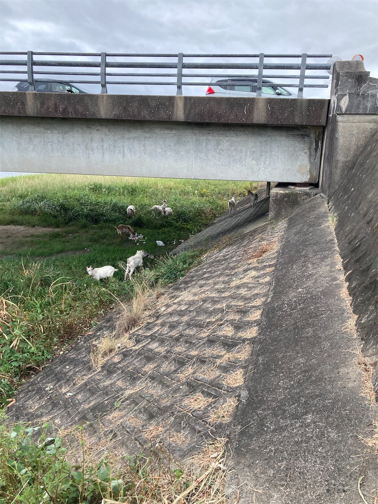 f:id:turimemo:20211016194804j:image f:id:turimemo:20211016194804j:image