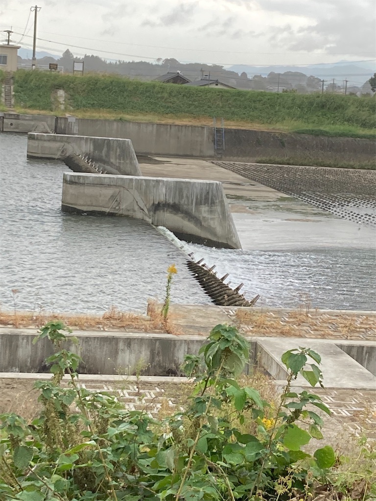 f:id:turimemo:20211016194835j:image f:id:turimemo:20211016194835j:image