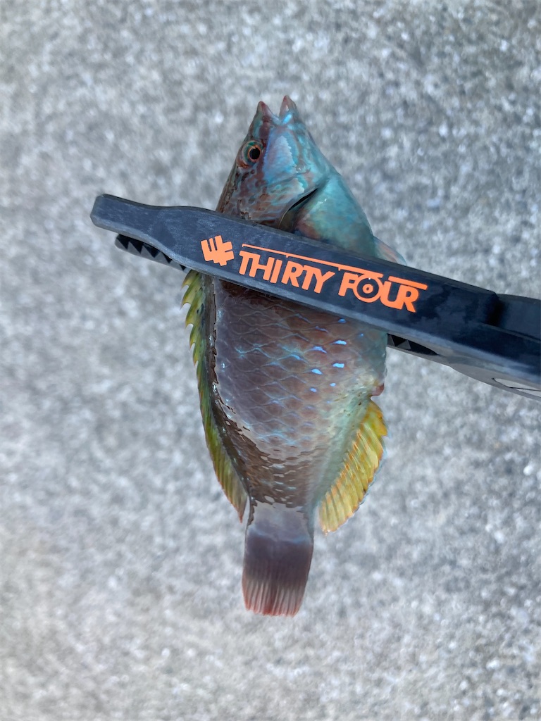 f:id:turimemo:20230716003113j:image f:id:turimemo:20230716003113j:image