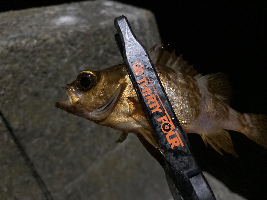 f:id:turimemo:20230716003129j:image f:id:turimemo:20230716003129j:image