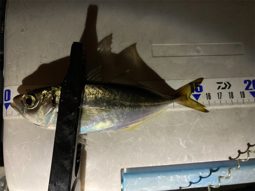 f:id:turimemo:20230910214619j:image