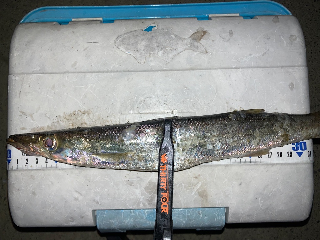 f:id:turimemo:20240108202751j:image f:id:turimemo:20240108202751j:image