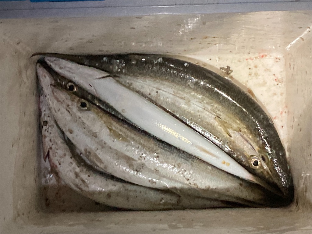 f:id:turimemo:20240108202755j:image f:id:turimemo:20240108202755j:image