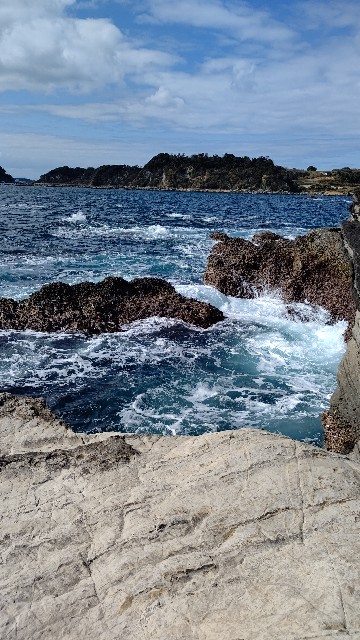 f:id:turipura:20210304073718j:image