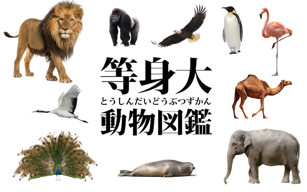 f:id:turisukisanntouhei:20200509125130p:image f:id:turisukisanntouhei:20200509125130p:image