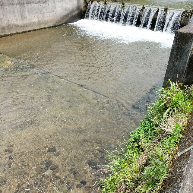 f:id:turitanuki:20240507122156j:image