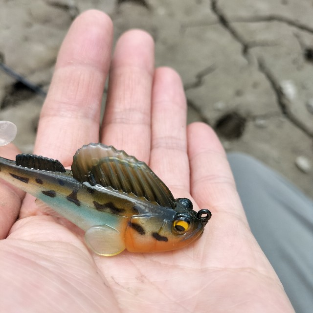 f:id:turitanuki:20240507142716j:image