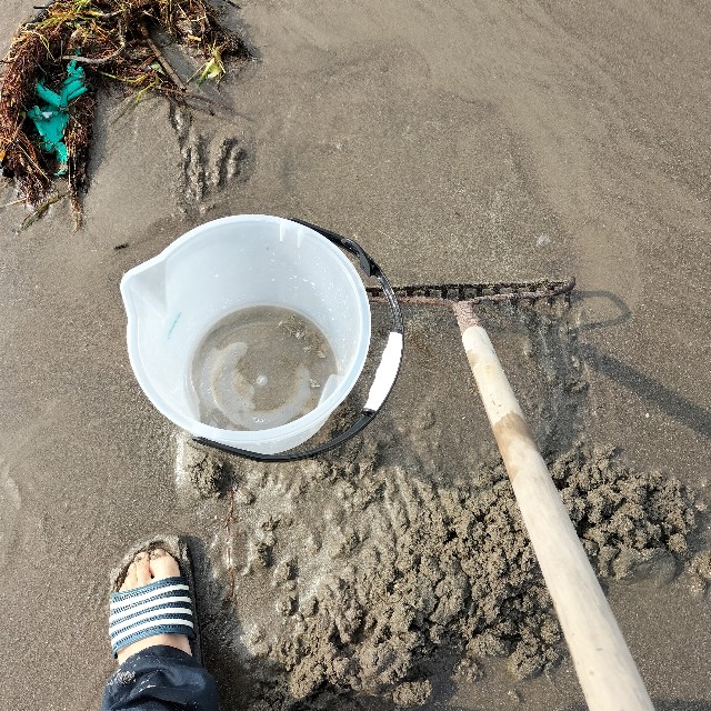 f:id:turitanuki:20240507230651j:image