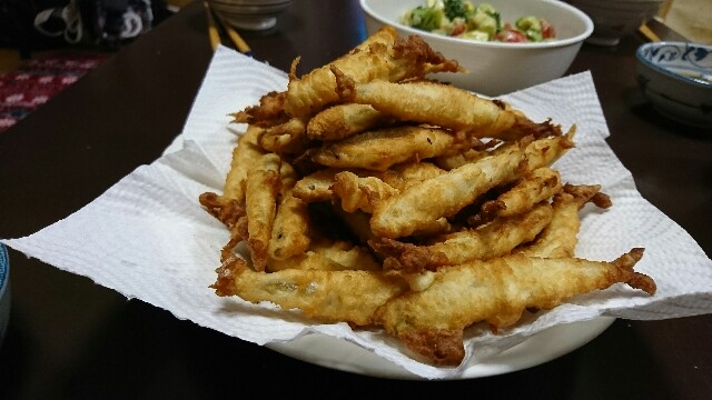 f:id:turitendc:20201226021658j:image