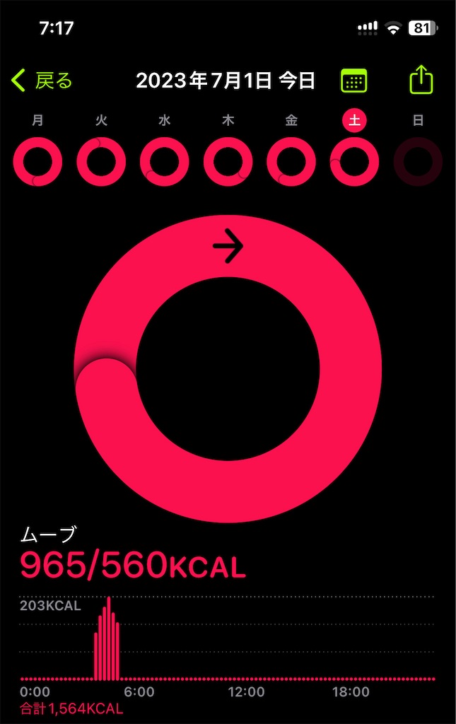 f:id:turkey-stoic-note:20230701073120j:image