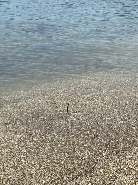 f:id:turkeyfishing:20190924230745j:plain f:id:turkeyfishing:20190924230745j:plain