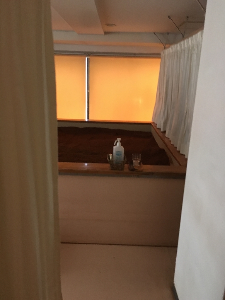 f:id:turquoise-pomander:20190313013924j:plain f:id:turquoise-pomander:20190313013924j:plain