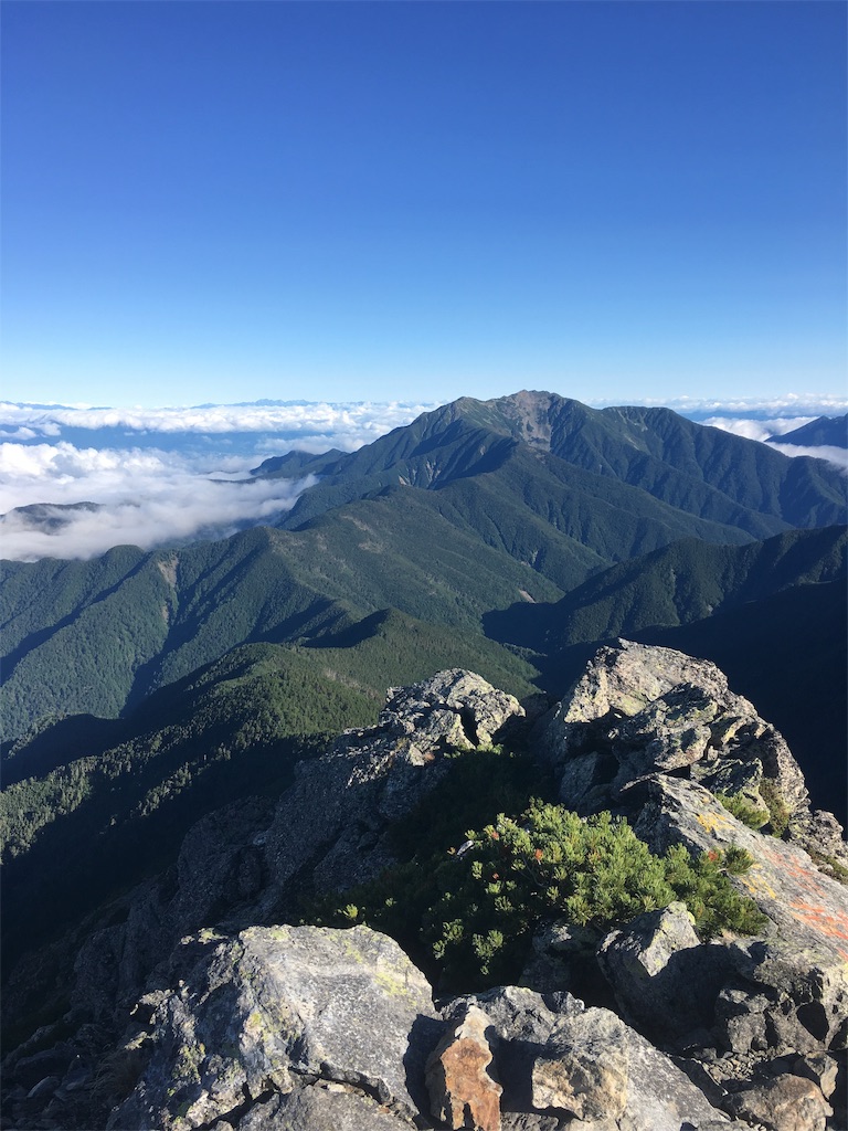 f:id:turtle__1:20190706121903j:image f:id:turtle__1:20190706121903j:image