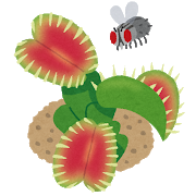f:id:turtleblog:20190402102825p:plain
