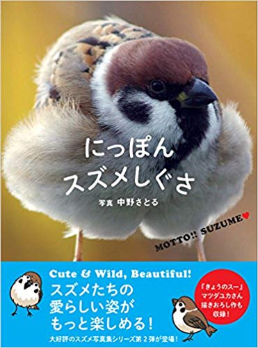 f:id:turtleblog:20190402111541j:plain