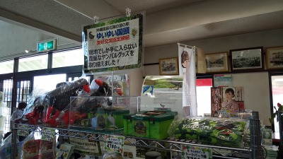 f:id:turtlesan:20200208230621j:plain f:id:turtlesan:20200208230621j:plain