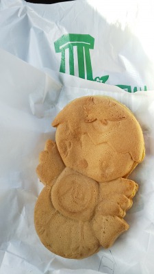 f:id:turtlesan:20200226221823j:plain f:id:turtlesan:20200226221823j:plain