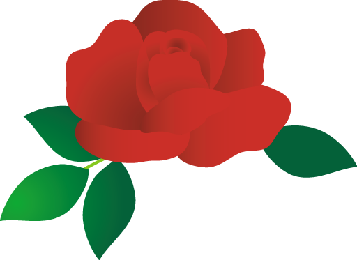 f:id:turuga-aiz:20181219150248p:plain