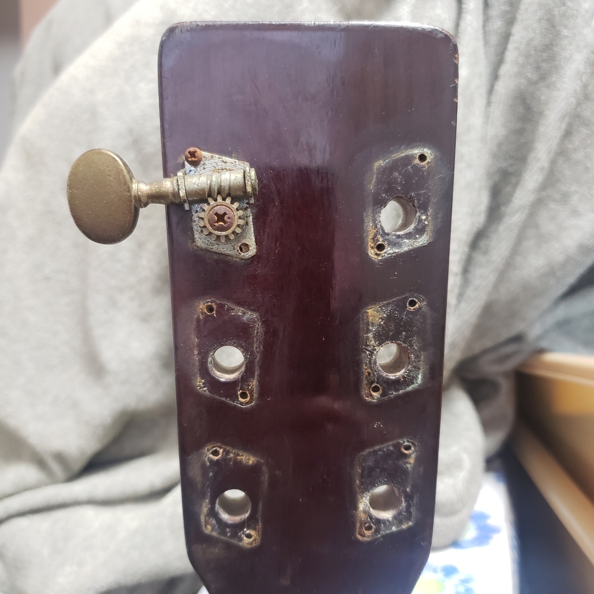 ペグ交換 Kansas W-180 - turugi-punkの日記