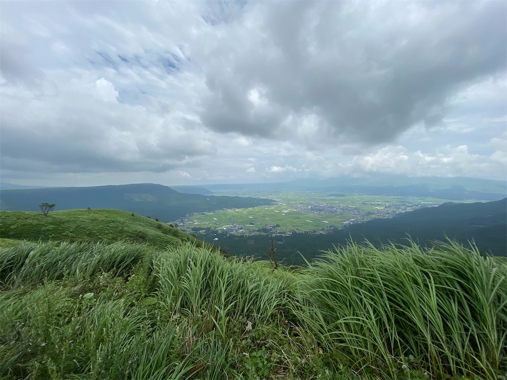 f:id:turumakimaki:20220504102944j:image f:id:turumakimaki:20220504102944j:image