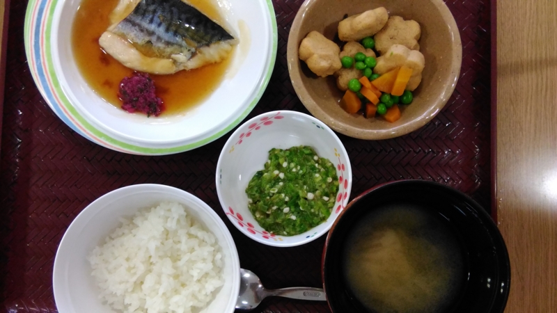 f:id:turumayu:20160721115855j:image:w360