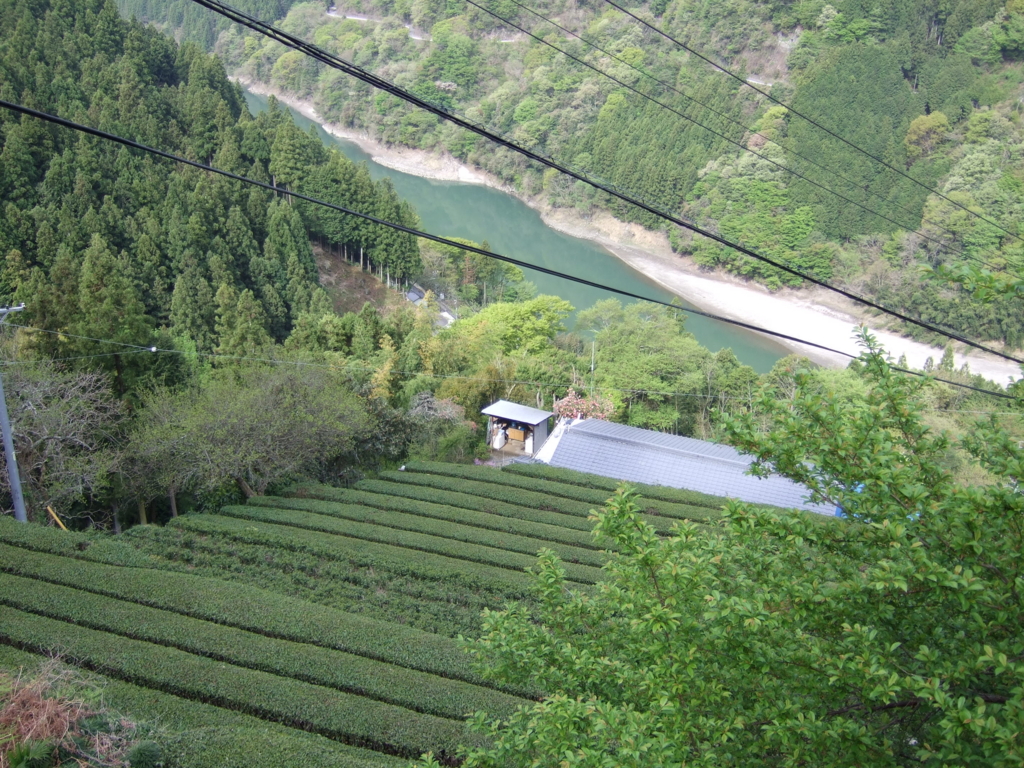 f:id:turumigawa915:20161015212008j:plain