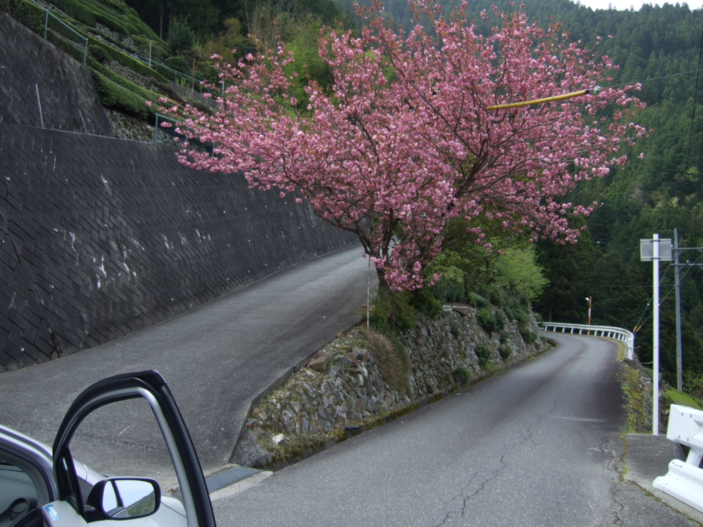 f:id:turumigawa915:20161015212414j:plain