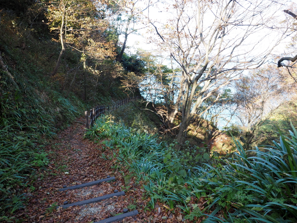 f:id:turumigawa915:20161113215537j:plain