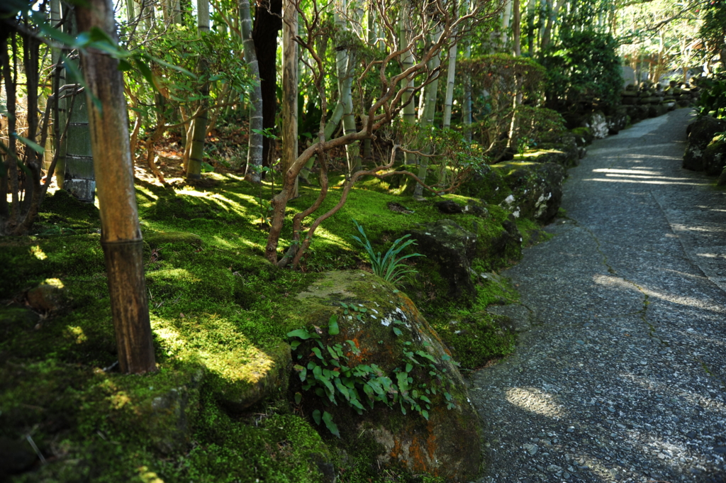 f:id:turumigawa915:20170119220917j:plain