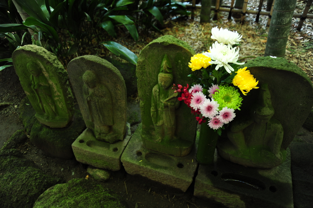 f:id:turumigawa915:20170119221013j:plain