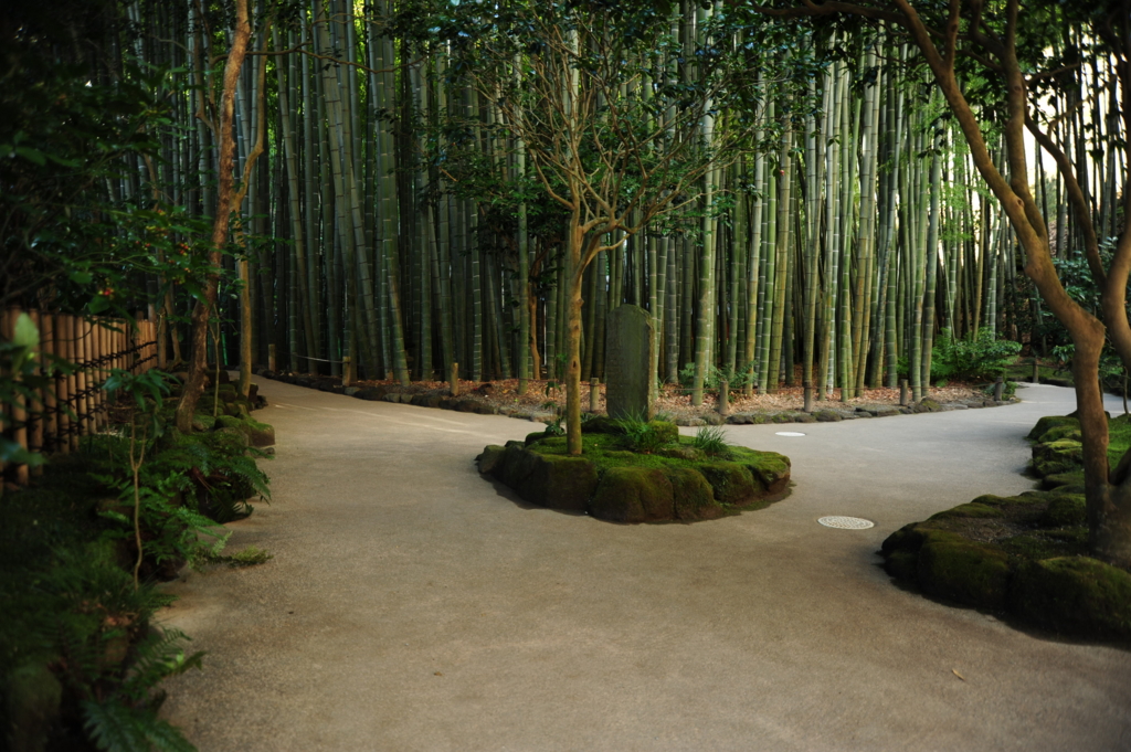 f:id:turumigawa915:20170119221154j:plain